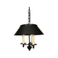 Franklin Library Chandelier