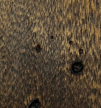 Wood Finish Samples